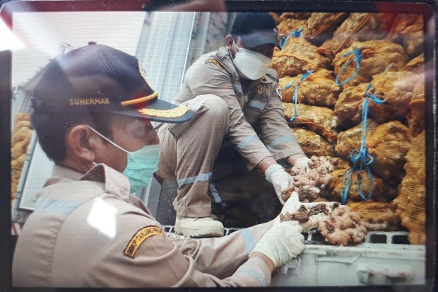 Empat Kontainer Jahe...