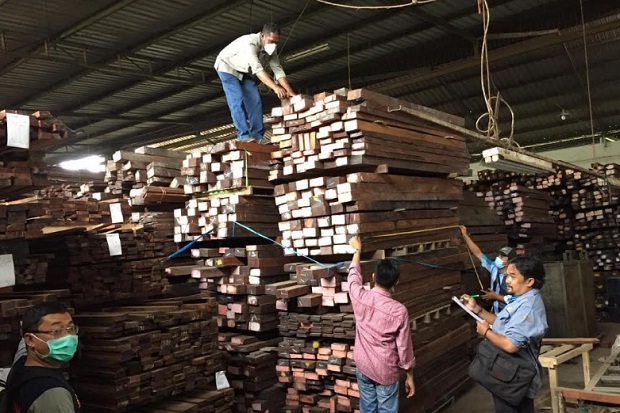 Jagal Kayu Gentayangan,...