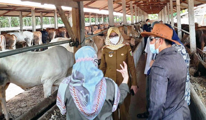 Bersinergi dengan Daerah,...