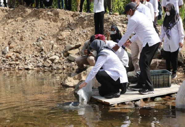Dam Kali Kawat, Dinilai...