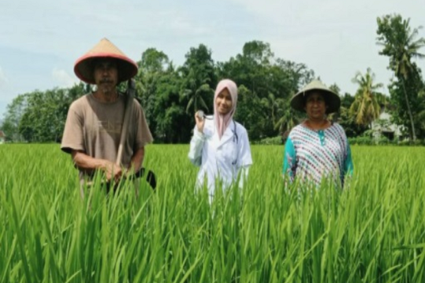 Regenerasi Sektor Pertanian,...