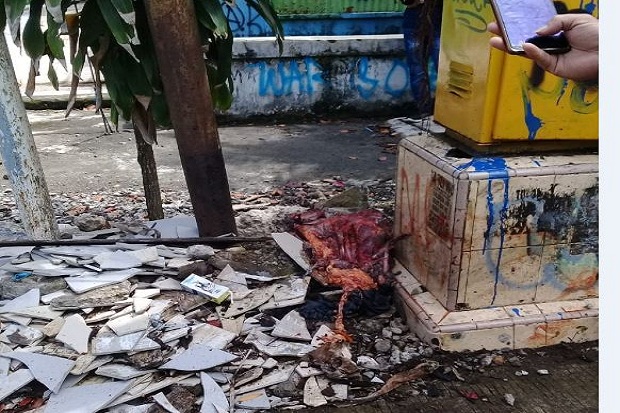 Potongan Tubuh Berserakan...