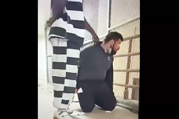 Beredar Video Napi di...
