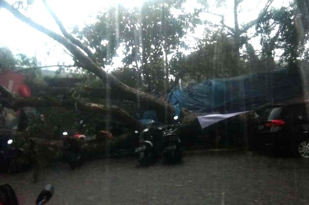 Diterjang Hujan Lebat...