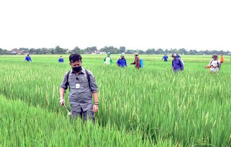 Kementan Latih Petani...