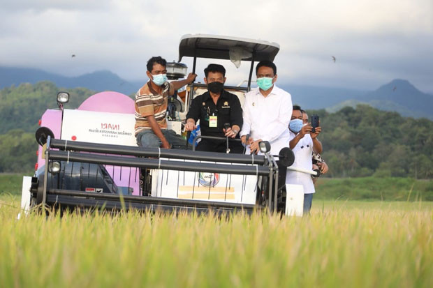 Upaya Jaga Harga Gabah,...