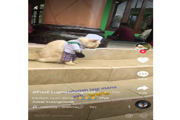 Cari Sandal di Masjid,...