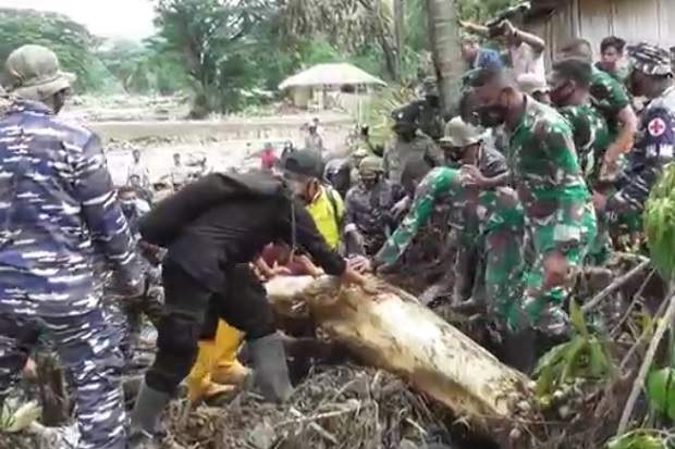 Tertimbun Batang Kayu,...