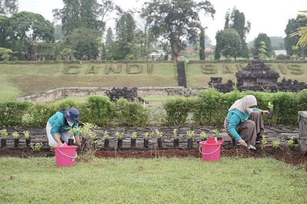 Program Candi Darling...