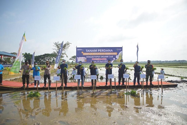 Pupuk Indonesia Gelar...