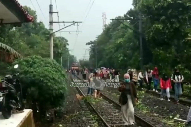 Pohon Tumbang Tutup...