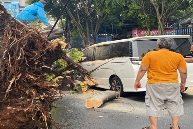 Mobil Rusak Tertimpa...