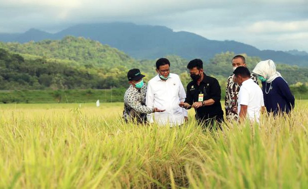 Kementan Latih Petani...
