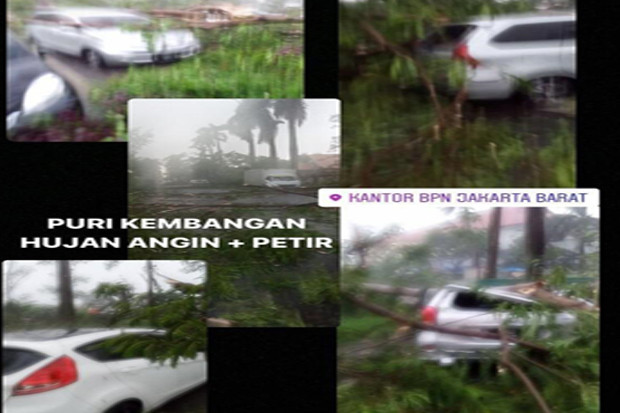 Hujan Angin, Sejumlah...