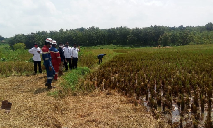 Petani di Blora Menangis,...