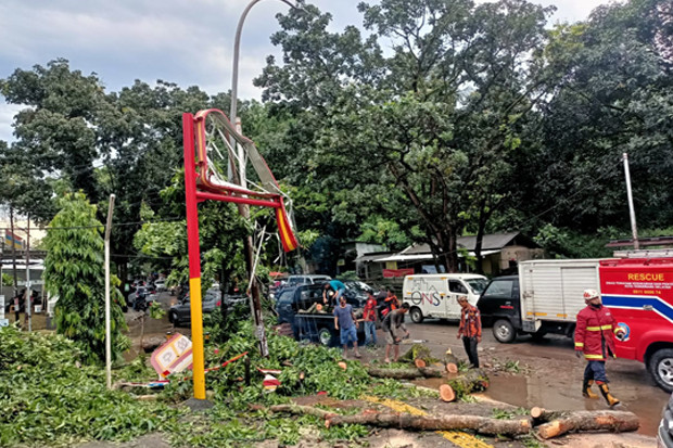 Hujan Disertai Angin...