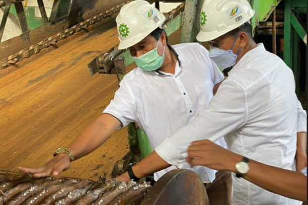 Direktur Holding Perkebunan...