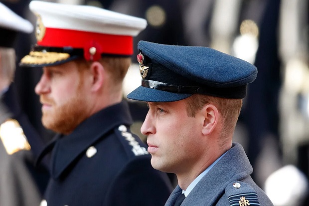 Ini Alasan William-Harry...