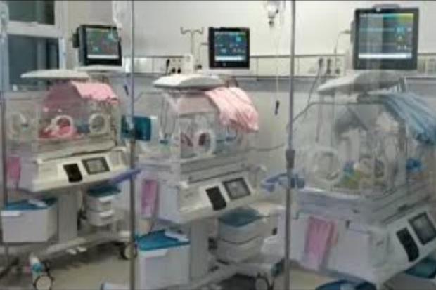 Unik Nih! Bayi Kembar...