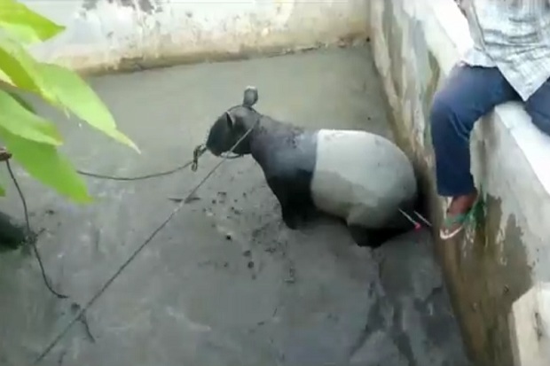Masuk ke Kolam Warga,...