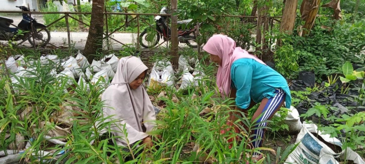 Kelompok Tani Wanita...