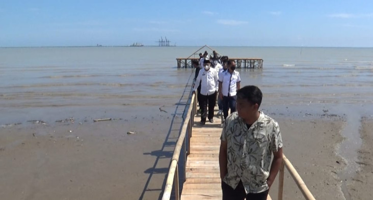 Ratusan Ikan Mendadak...