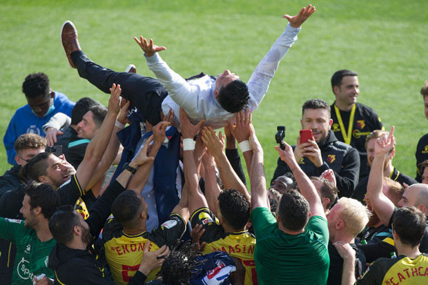 Watford Tim Kedua Promosi...