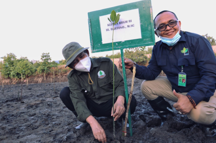 Rehabilitasi Mangrove...