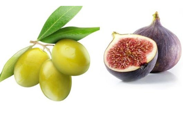 Khasiat Buah Tin dan...
