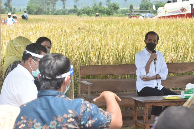 Impor Beras Batal, Jokowi:...