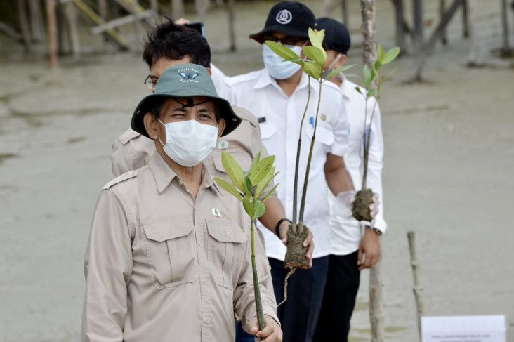 Rehabilitasi Mangrove,...
