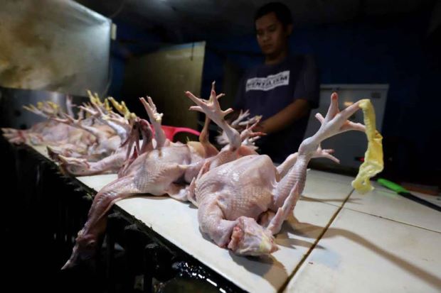 Dipicu Kenaikan Harga...