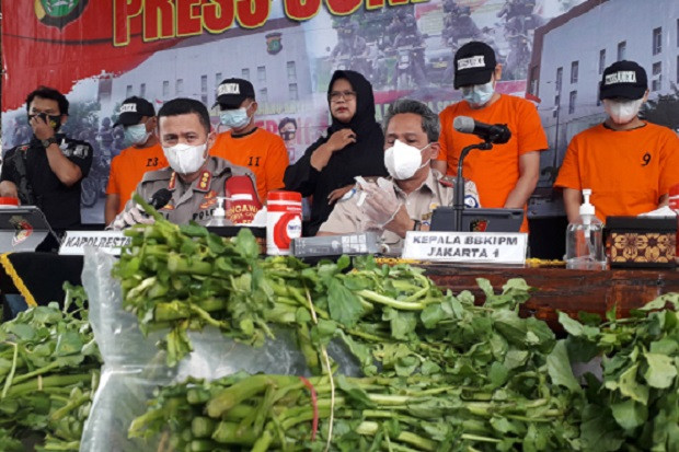 Penyelundupan Benih...