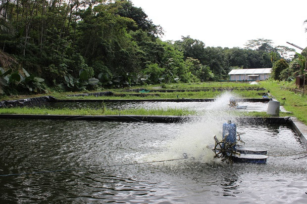 Ini Alasan Memilih Prodi...