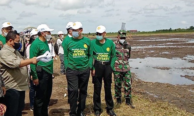 Food Estate Kalteng...