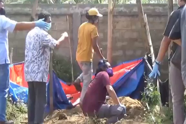 Pacitan Geger, 11 Anjing...