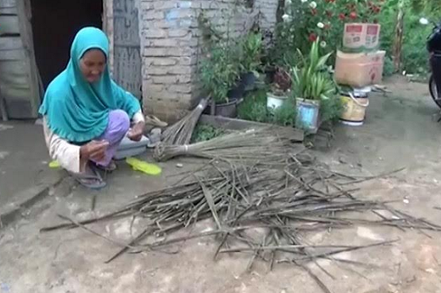 Hanya Bekerja Meraut...