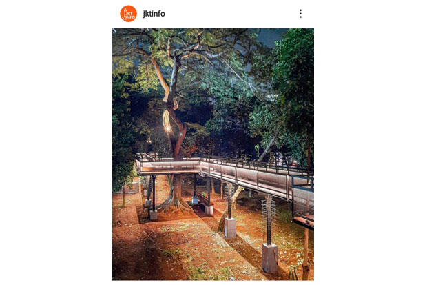 Suasana Malam di Taman...