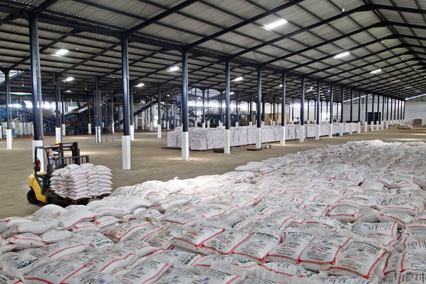 Harga CPO Membaik Bikin...