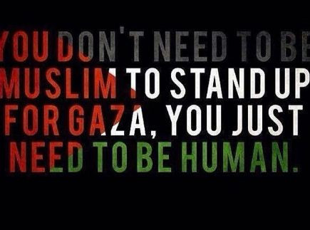 Khabib Bela Muslim Palestina:...