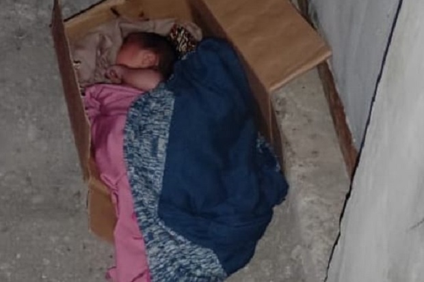 Diwadahi Kardus, Bayi...