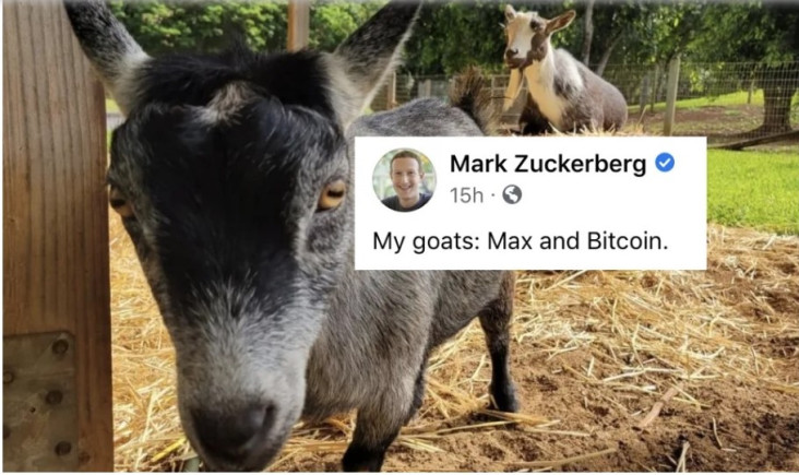 Mark Zuckerberg Pamer...
