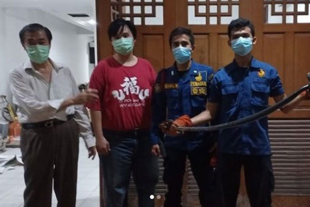 Gigit Hewan Peliharaan...