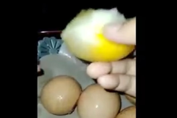 Viral Video Telur Palsu...