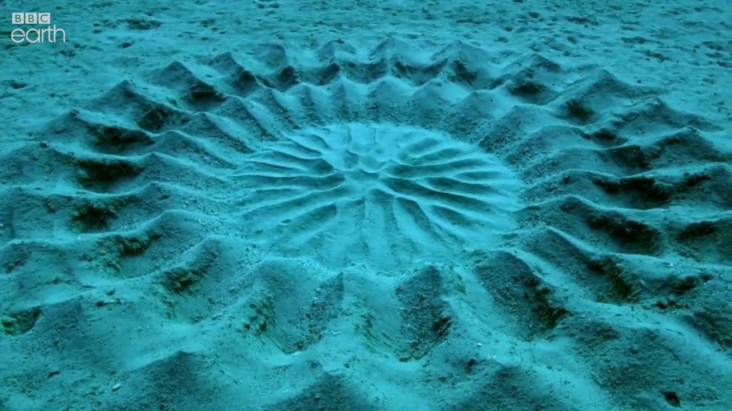 10 Misteri Terbesar...