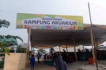 Kampung Akuarium Siap...