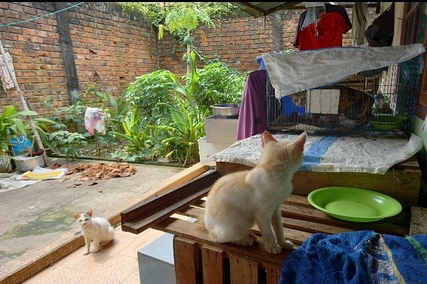 Disenggol Truk di Lubuklinggau,...