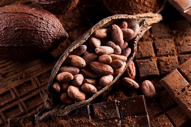 Flavanol pada Cokelat...