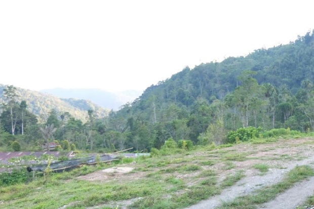 Tambang Emas di Kabupaten...