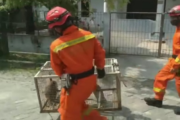 Resahkan Warga Penjaringan...